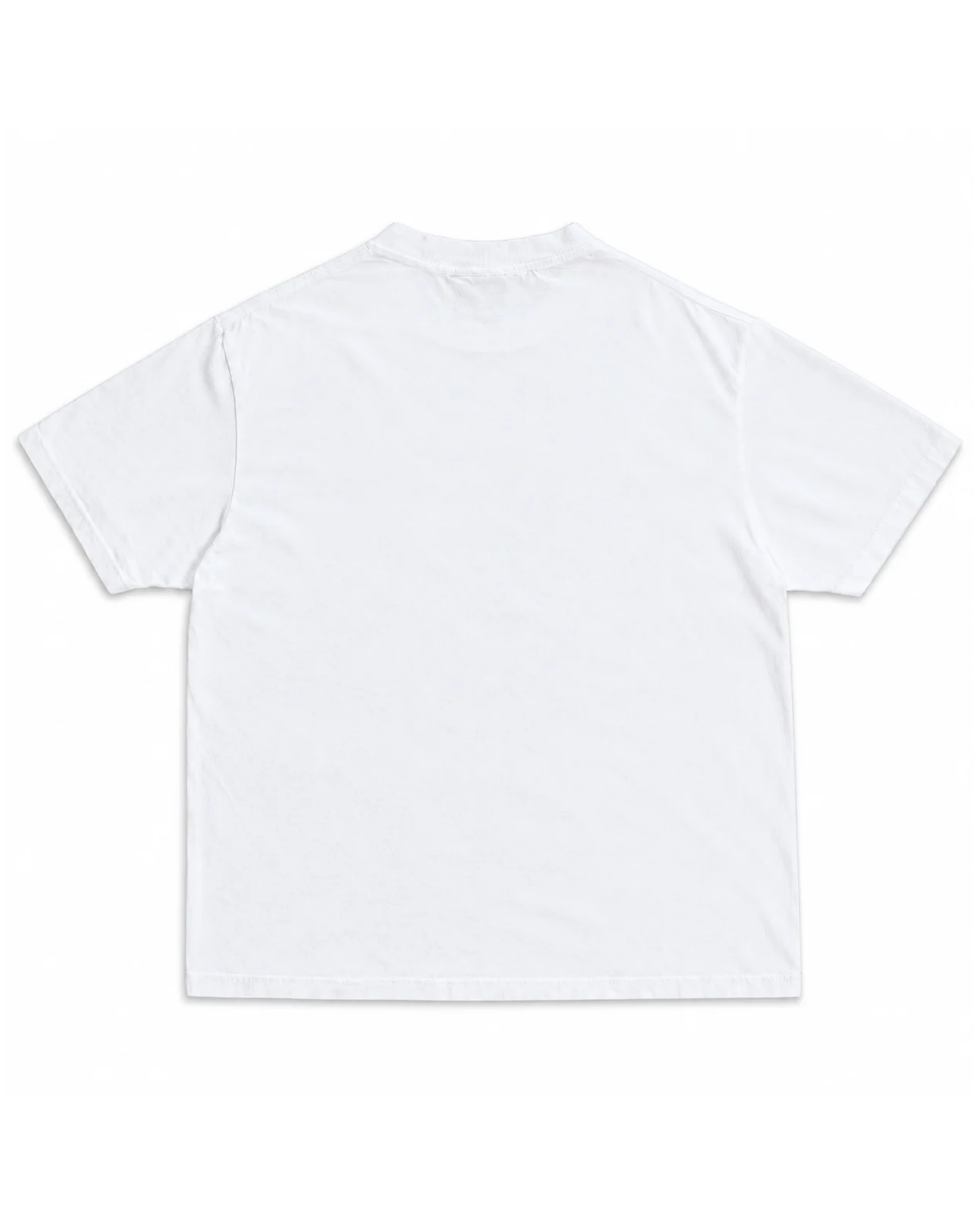 "NO ICE" GRAPHIC TEE